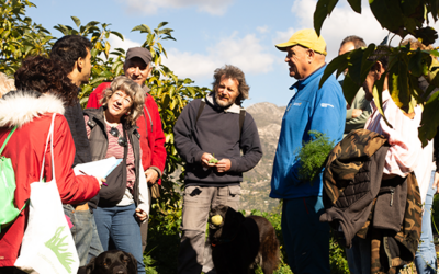 Un nuevo espacio web permitirá mejorar la trazabilidad alimentaria del sector agroecológico andaluz